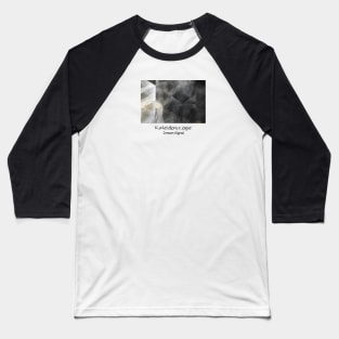 Kaleidoscope Therapy Dream Signal Baseball T-Shirt